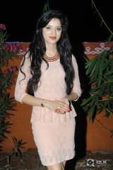 Richa Panai at Chandamama Kathalu National Award Celebrations